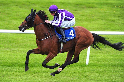 King Of The Romans strides clear for Joseph O'Brien