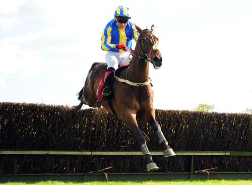 Triibes And Banner is well clear at Punchestown