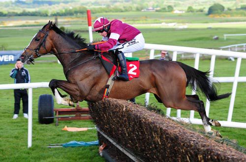 Rathlin soars over a fence at Punchestown
