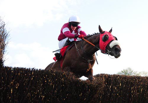 Dont Back Down and Day Condon in action at Punchestown