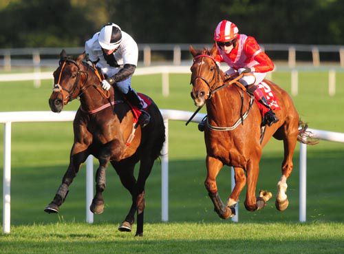 Rawnaq, left, faces a challenge from Benhego at Punchestown
