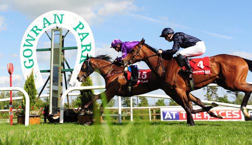 Tropical Mist leads home Bronte in the opener at Gowran