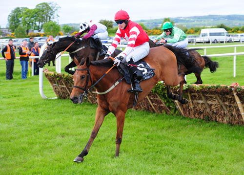 Shanpallas has been well-supported for the feature race at Sligo