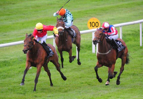 Judies Child leads them home at Down Royal
