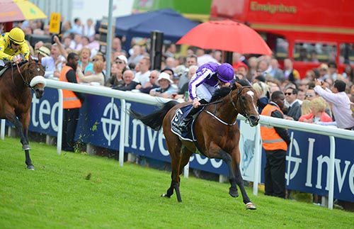 St Nicholas Abbey winning this year's Investec Coronation Cup 