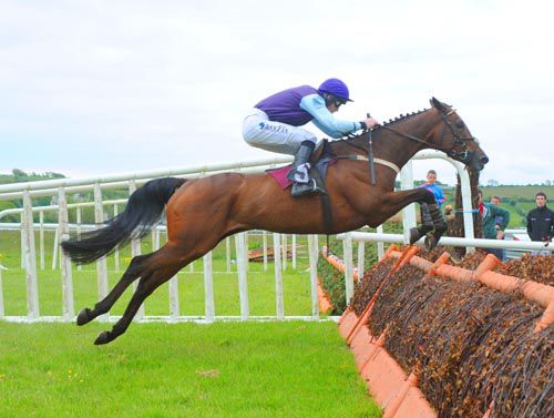Ivy Glen and Andrew McNamara on their way to victory at Listowel
