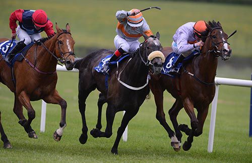 Slipper Orchid, centre, comes through to win at Naas