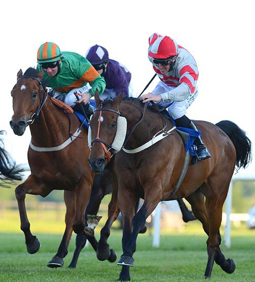 The 'old codger' All About Timing (cheek-pieces) beats To Choose at Fairyhouse