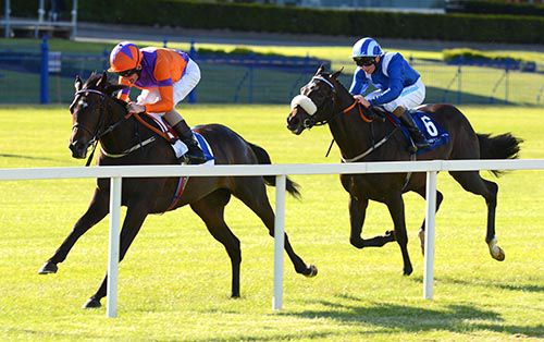 Club Wexford wins snugly from Zakhm at Leopardstown 