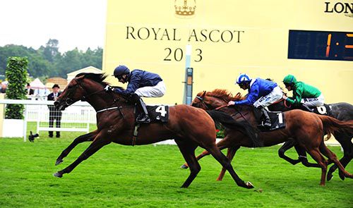 Declaration Of War pictured winning at Royal Ascot 