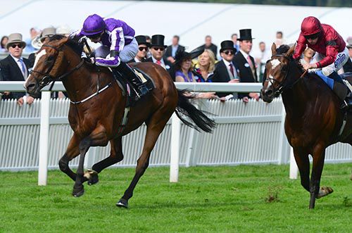 Leading Light winning the Queen's Vase at Royal Ascot last year