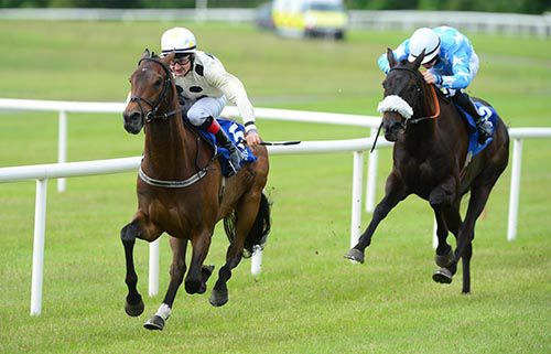 'Dusty' Foley keeps Jack Daddy going to see off Benash at Ballinrobe
