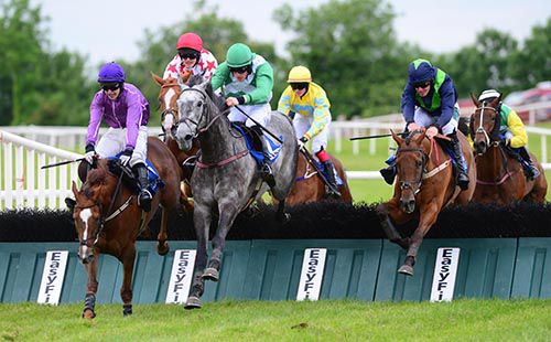 Lots had a chance at the last at Ballinrobe but it was the grey, Sir Lynx that passed the post in front