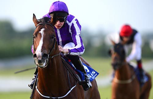 The Solonoway Stakes at the Curragh is next on the agenda for Darwin