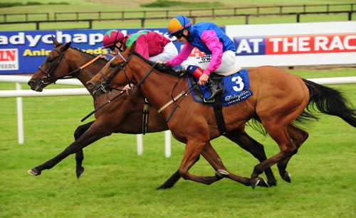 Fiesolana (Billy Lee) just holds Along Came Casey (Pat Smullen) in the Brownstown at Fairyhouse