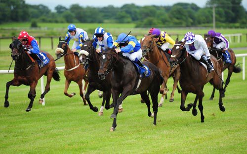 Sharjah (blue and yellow, Declan McDonogh) was best of the bunch at Fairyhouse