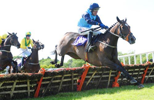 Cailin Annamh and Robbie Power clear the last at Wexford