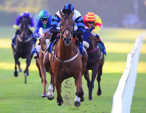 Fosters Cross hits the front at Leopardstown