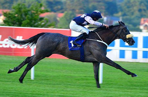 Drifting Mist impresses in the last race at Leopardstown