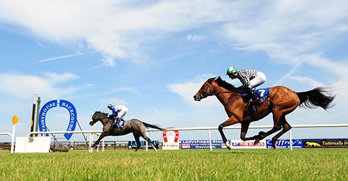 Greek Canyon hits the line first at Fairyhouse