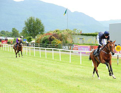Royal Irish Hussar comes home a clear cut winner of the opener at Killarney