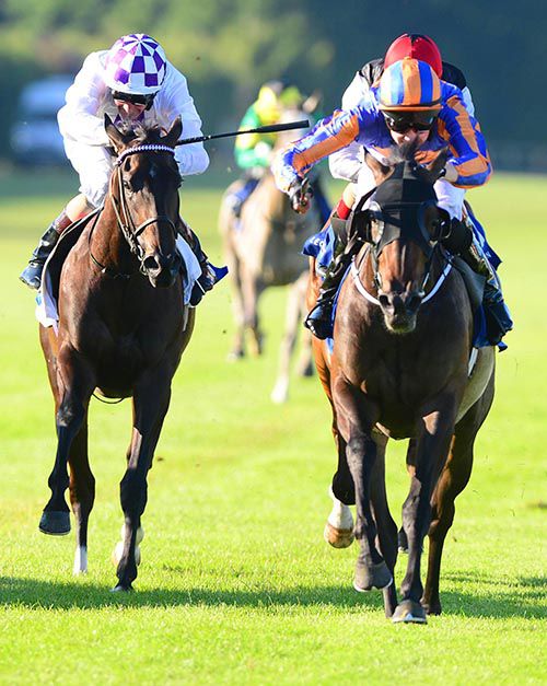 Wonderfully, right, winning at Leopardstown