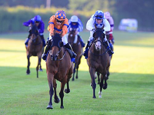 Fairylike, orange, forges clear at Leopardstown 