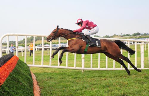 Westhaven and Davy Condon jump the last 