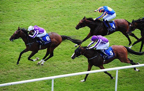Wilshire Boulevard, pictured winning at the Curragh, had to settle for second in the Gimcrack under Ryan Moore