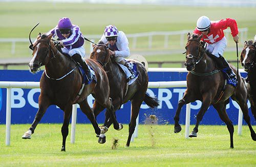 Darwin is driven out by Joseph O'Brien to beat Gordon Lord Byron (red)