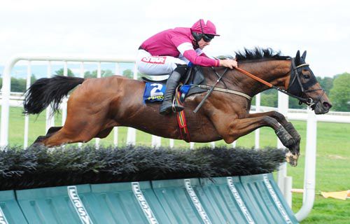 Make Your Mark and Davy Russell clear the last at Tipperary