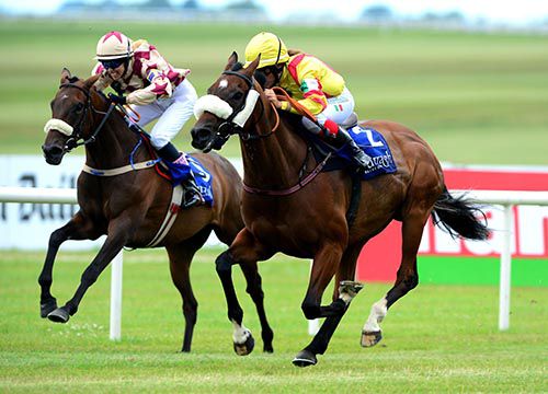 Beau Michael and Jessica Marcialis, yellow, win at the Curragh
