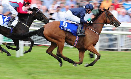 Tapestry pictured winning on her debut at the Curragh