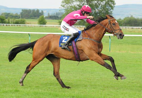 The impressive Devils Bride in action at Tipperary