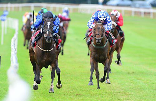 Sian sees off Crouching Harry at Ballinrobe