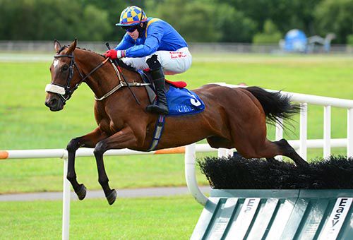 The Ring Is King and Keith Donoghue took the 1st at Ballinrobe