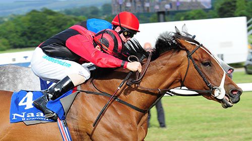 Lily's Star gets up to deny Patrickswell
