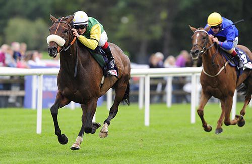 Busted Tycoon beats Dancers Dilemma in the last at Galway