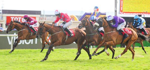 Merrion Row (red) gets home from Grecian Tiger (purple), Some Officer (striped cap) & Devils Bride (maroon)