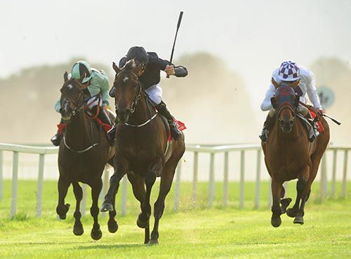 Venus De Milo (centre) pictured on her way to victory at Cork on her last start