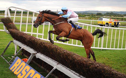 Cool Warrior soars over the last at Roscommon