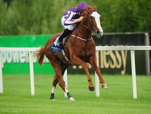 Friendship & Joseph O'Brien on their way to victory