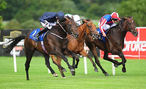 Ernest Hemingway keeps on best in the closing stages to beat Scintillula (centre) and Royal Diamond (on the rail)