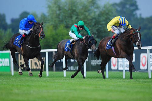 Giant's Quest (yellow) is driven out by Pat Smullen to beat Weather Watch (blue) and Mourani