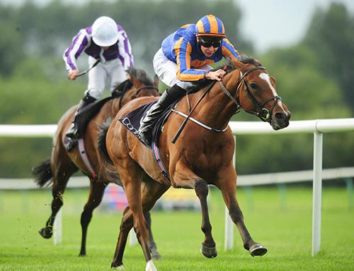Indian Maharaja is pushed out by Joseph O'Brien