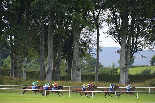 Lady O Malley leads the field along the back straight in the opener at Ballinrobe