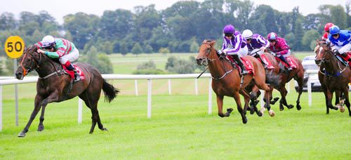 Princess Aloof leads home Bluebell at Gowran Park