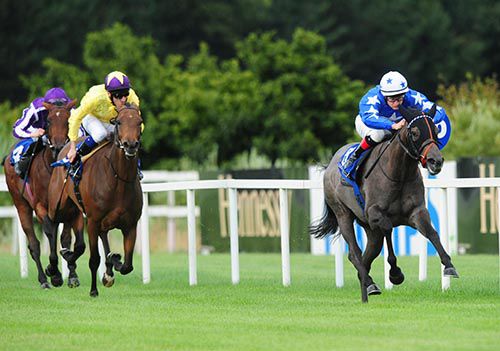 Vallado wins at Leopardstown from My Titania