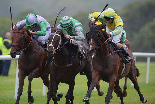 Prince Chaparral stays on best on the outside to beat Bobskier (centre) and Ancient Sands