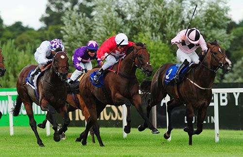 Gordon Lord Byron, white cap, begins to deliver his challenge at Leopardstown
